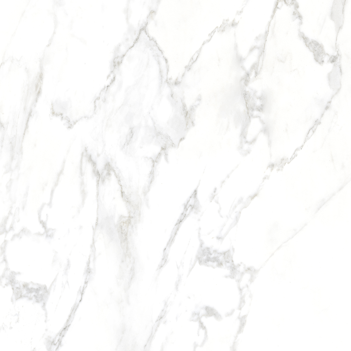Porcelanato Delta Balmes Polido 63×63