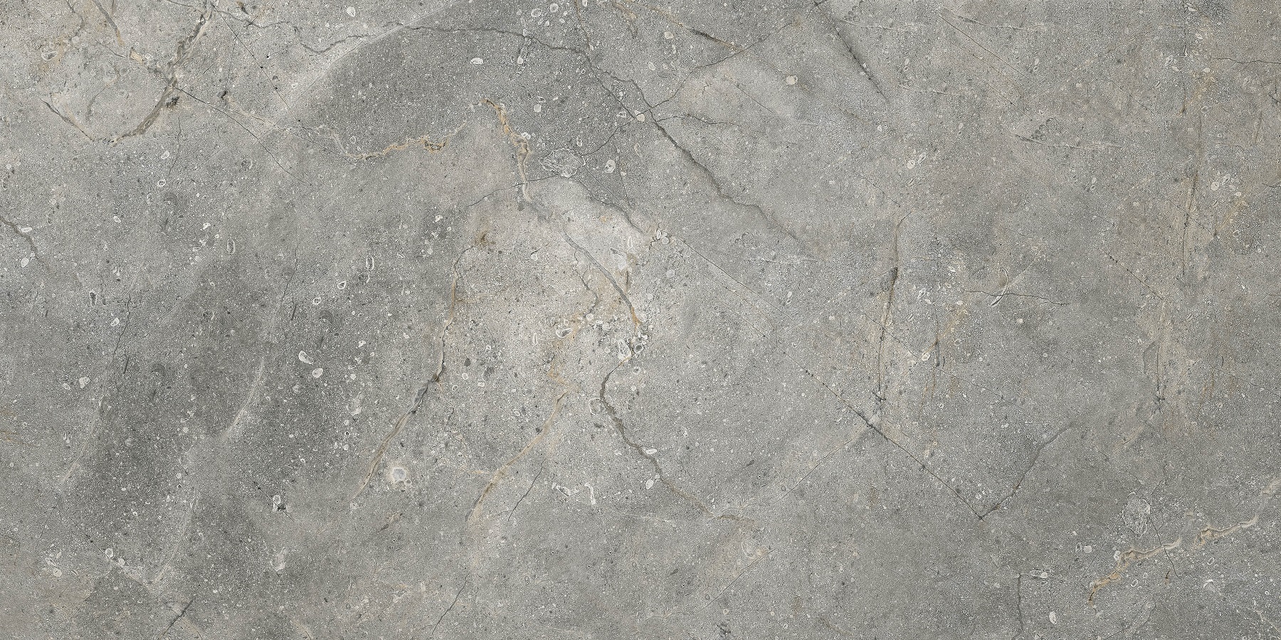 Porcelanato Elizabeth Pietra Gray Polido 62,5×125