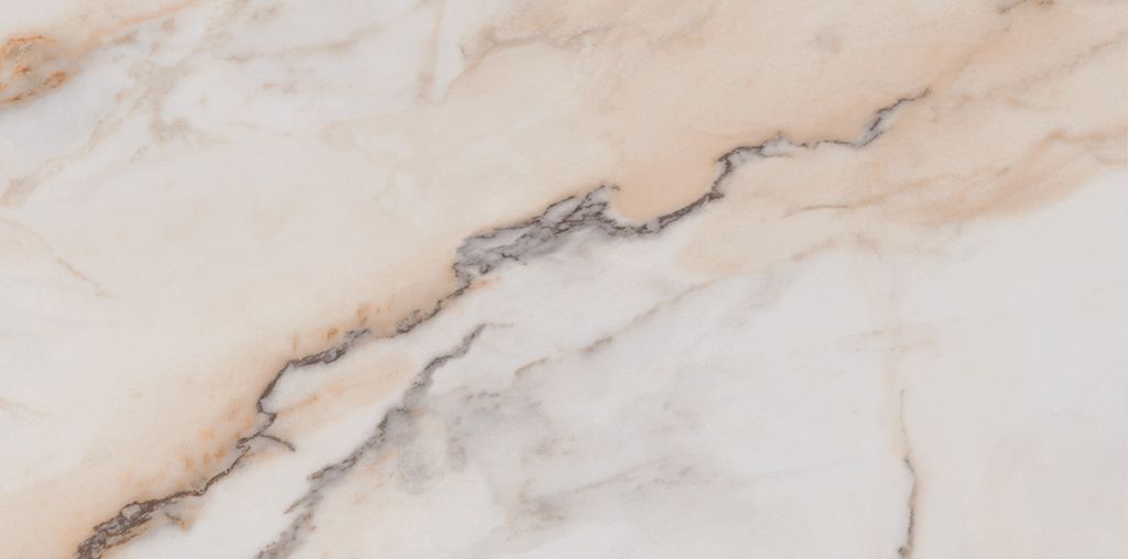 Porcelanato Elizabeth Pantheon Polido 50×101