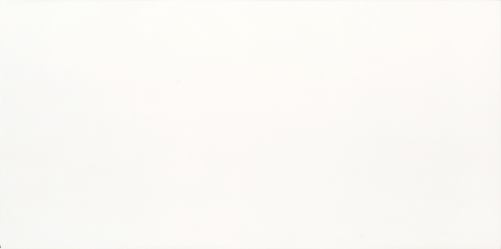 Porcelanato Elizabeth Pure White Polido 50×101