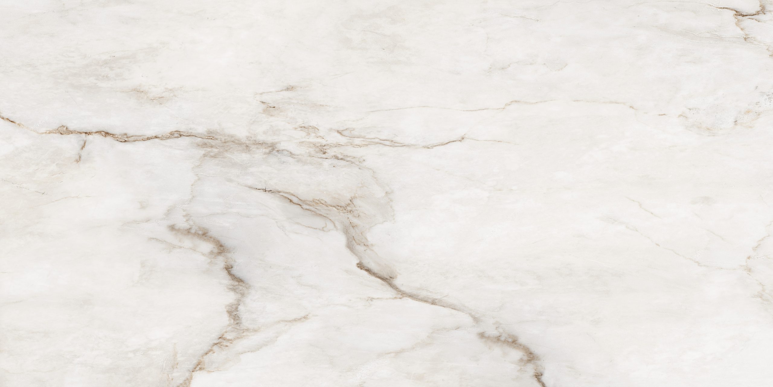 Porcelanato Eliane Bianco Oro Polido 120X240
