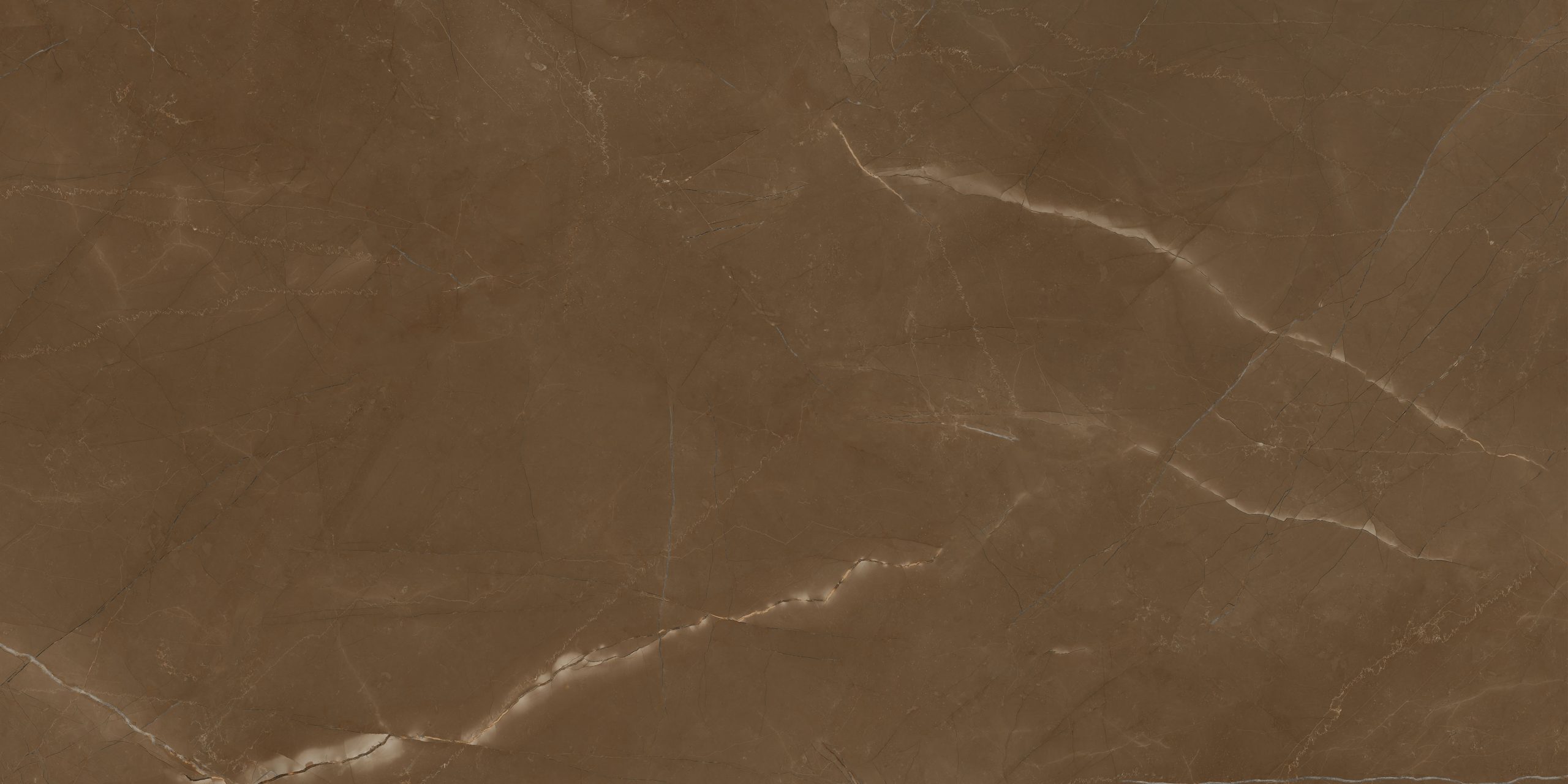 Porcelanato Esmaltado Eliane Marmo Brown Polido 120×240