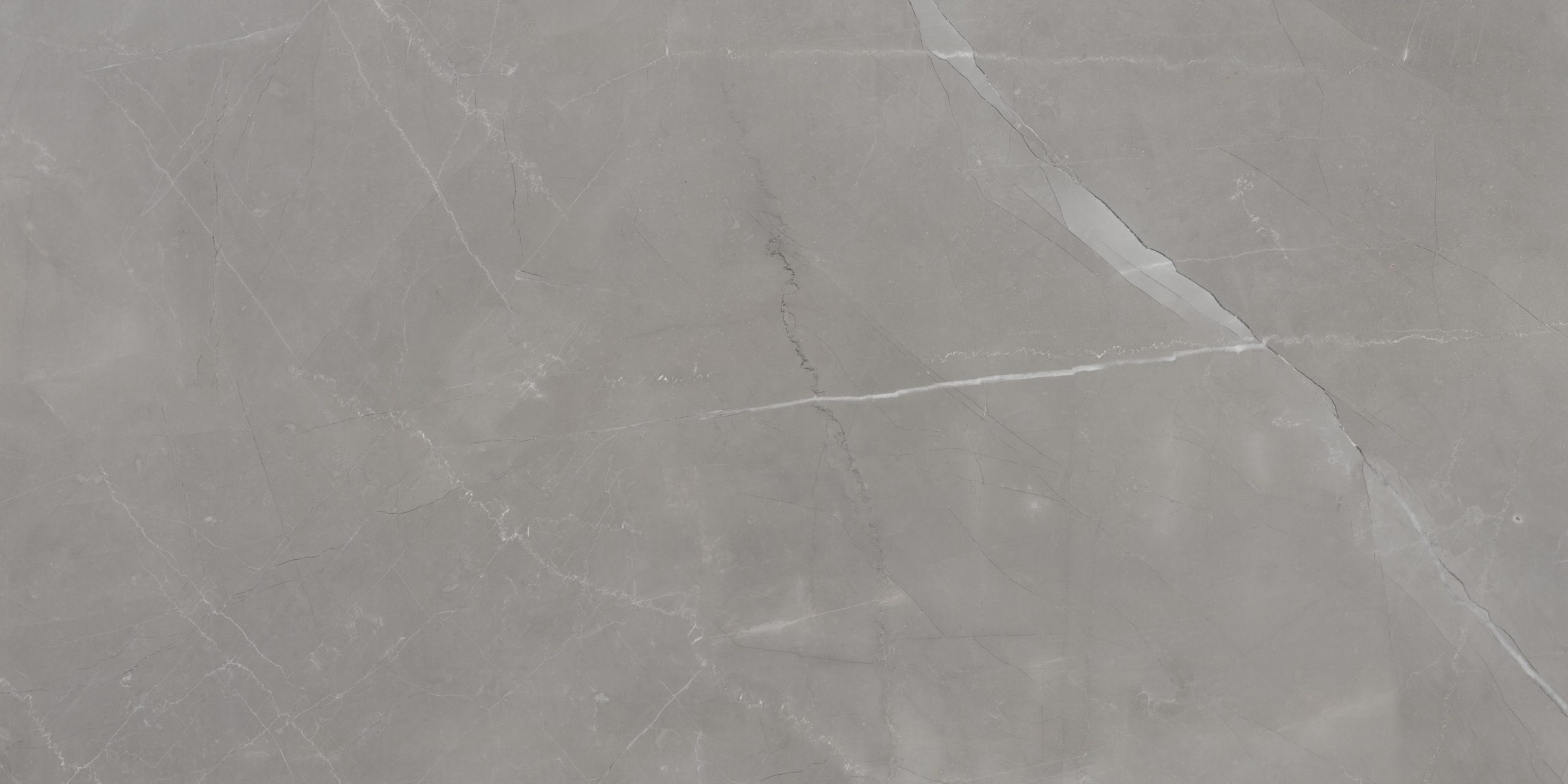 Porcelanato Esmaltado Eliane Pulpis Gray Acetinado 59×118