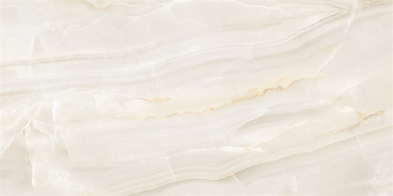 Porcelanato Helena Concept Onix Polido 61×20