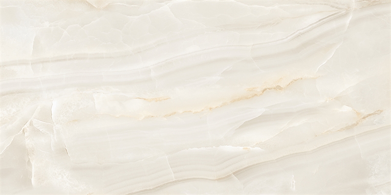 Porcelanato Helena Concept Onix Polido 61×20