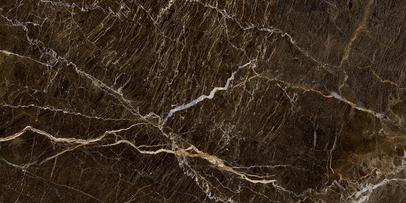 Porcelanato Damme Elegant Brown Polido 61×120