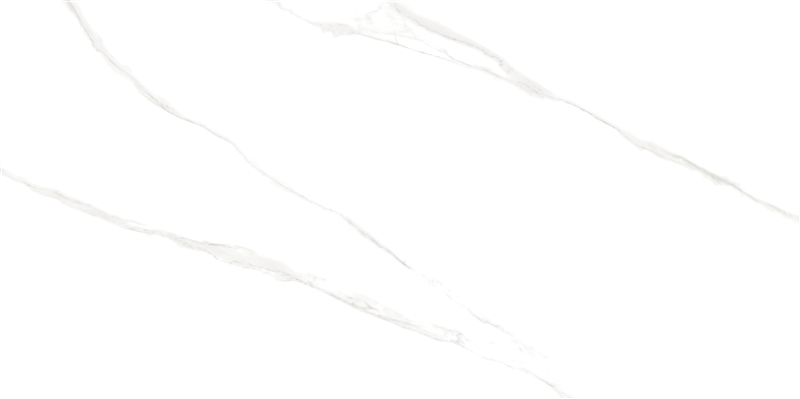 Porcelanato Helena Monet Polido 61×120