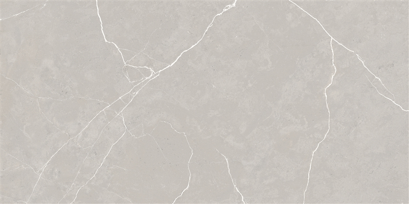 Porcelanato Helena Splendor Grigio Polido 61×120
