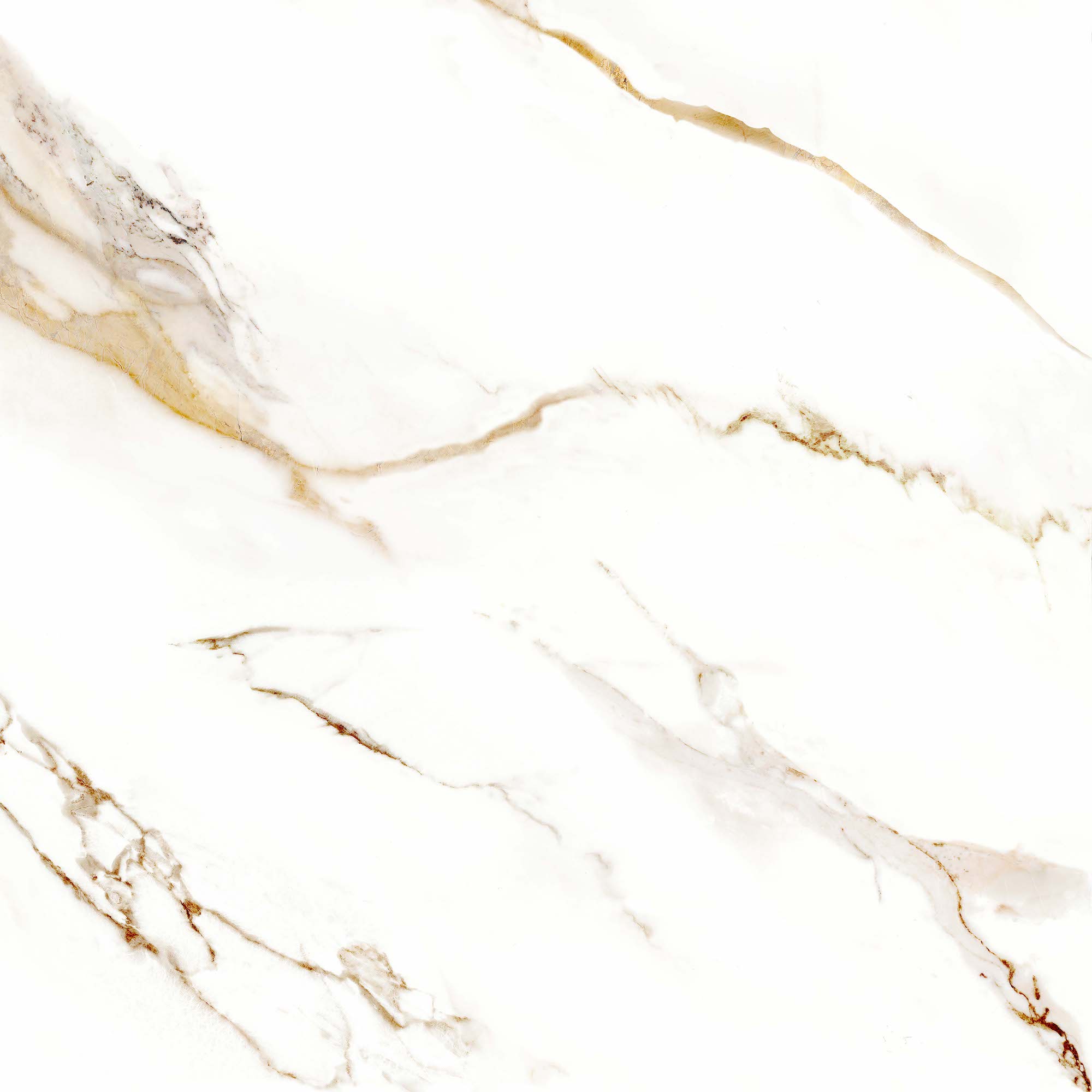 Piso Vivence Calacata Gold Polido 56×56